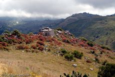 Sizilien (81 von 565).jpg